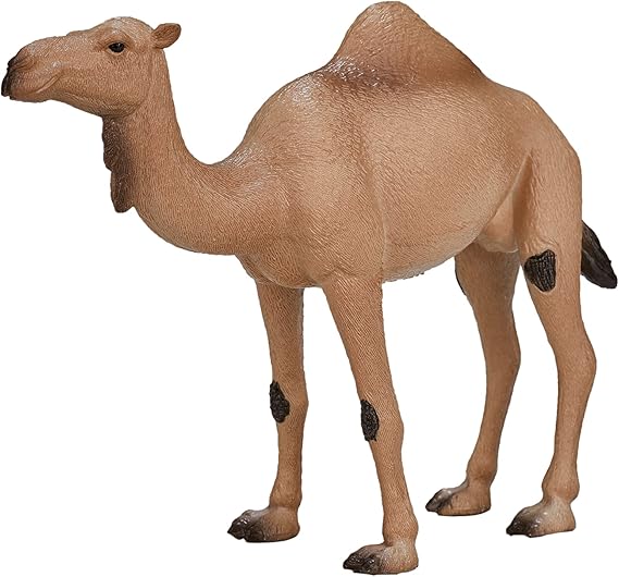 MOJO - Arabian Camel | Hand-Painted Toy Figure | Wildife Collection | True to Life & Highly Detailed | Designed in UK