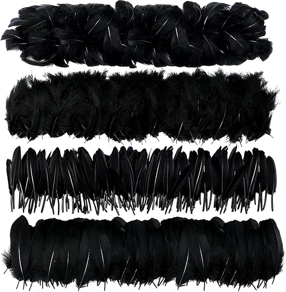 MWOOT 4 Styles Assorted Crafts Feathers (Black)