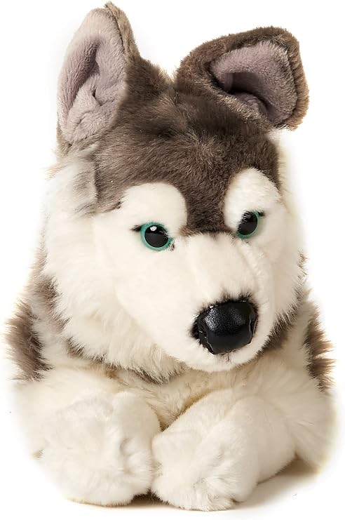Uni-Toys - Husky lying down - 40 cm (length) - plush dog, pet - plush toy, cuddly toy, grey