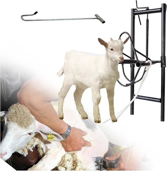 LZMZMQ Adjustable Sheep Shearing Stand, Portable Sheep Head Holder with Catching Sheep Hook & Rope, Farms Livestock Supplies for Home Use Market Milking Body Checking