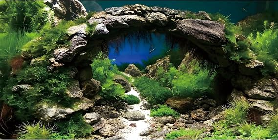 24x12 in Arch Stone Aquarium Backdrop Aquatic Plant Fish Tank Background