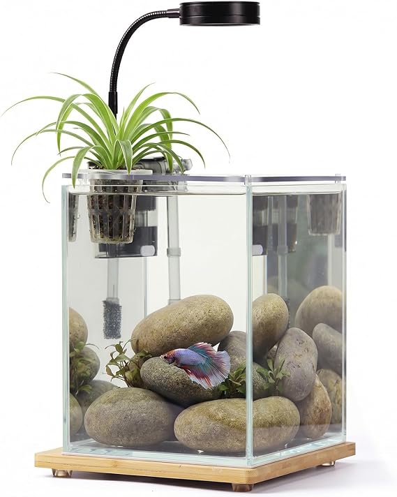 2.5 Gallon Nano Aquarium Kit with Bamboo-Base LED Light, Hanging Filter & Hydroponic-Ready Lid Ideal for Betta, Shrimp, or Aquatic Plants