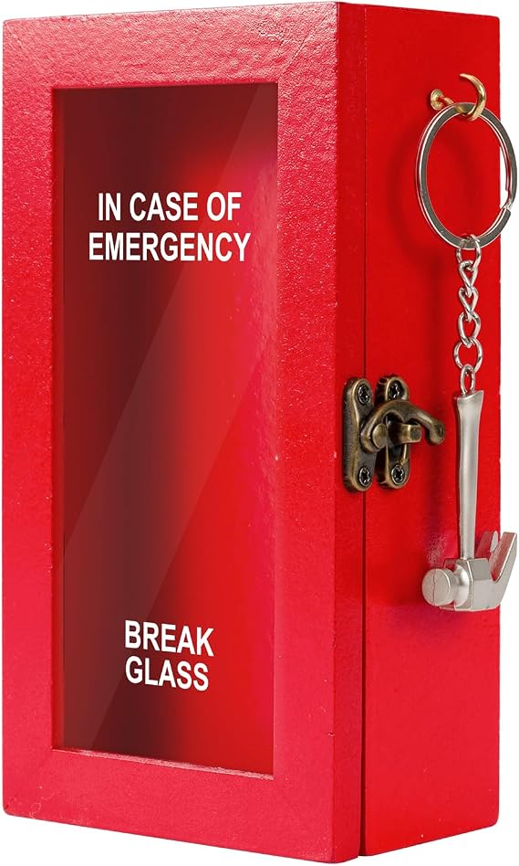 KHJCXS Funny Gift Emergency Box w/Hammer, In Case of Emergency Break Glass Boxes, Halloween hilarious Desk Decor, White Elephant Gift and Gag Gifts for Friend Coworker Family