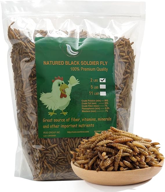 Non-GMO 22 lbs Black Soldier Fly for Chicken,High-Protein,Lrage Black Soldier Fly
