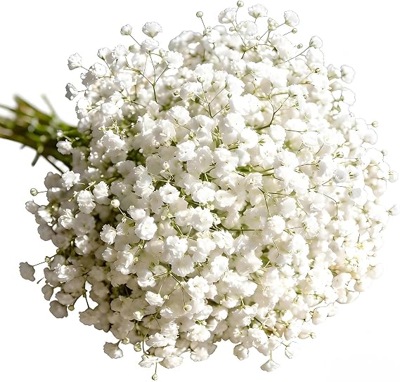30Pcs Artificial Gypsophila Flowers – Realistic Faux Baby Breath Bouquets, Real Touch Fake White Flowers That Look Real, for Wedding, Party & Home Floral Arrangements Decor