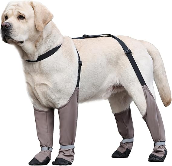 Waterproof Dog Shoes Anti-Slip Dog Shoes Reflective Dog Boots & Paw Protectors with Adjustable Straps Dog Booties for Hot Pavement, Hiking, Rainy and Snowy Days, XL,Dog Rain Boots