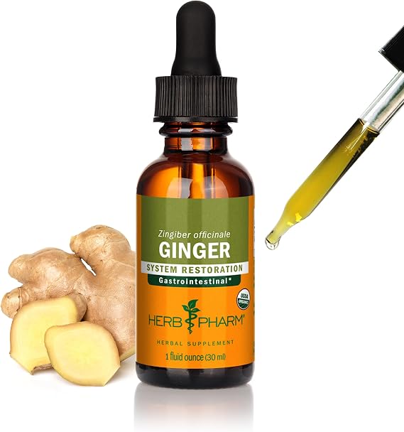 Herb Pharm Ginger Liquid Extract: Organic Supplement for Digestion, Occasional Nausea Support, Fast-Absorbing Ginger Liquid, Sugar-Free Digestive Support Tincture, Up to ~3 Week Supply, 1 oz*