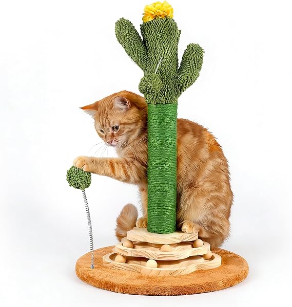 Cactus Cat Scratcher, Cute Cat Scratching Post for Indoor Cats, 25.6" | Cat Scratching Post with Interactive Ball, Two-Layer Track, Spring Ball Toys, Sisal Cactus Cat Scratcher, Kittens
