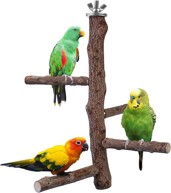 Bird Perch Stand Toy, Natural Wood Parrot Perch Bird Cage Branch Perch Accessories for Parakeets Cockatiels Conures Macaws Finches Love Birds (M: 10" Length) | Natural Wood Perch Stand w/ 4 Branches Bird Cage Inside Accessories Bird Toy for Parakeet Cockatiel Conure Finches Love Birds