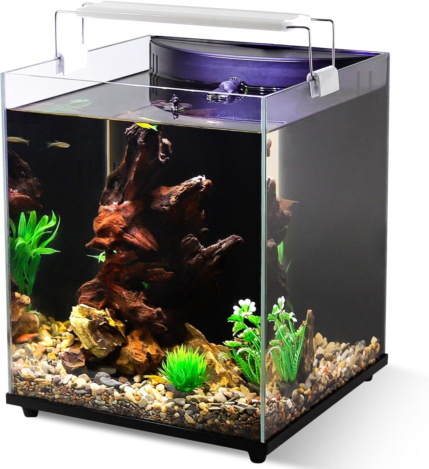 fishkeeper 5 Gallon Fish Tank Starter Kit, Small Aquarium with Filter and Adjustable 3 Color Lighting Self Cleaning Fish Bowl Rimless Aquarium for Beginners Freshwater Fish Tank