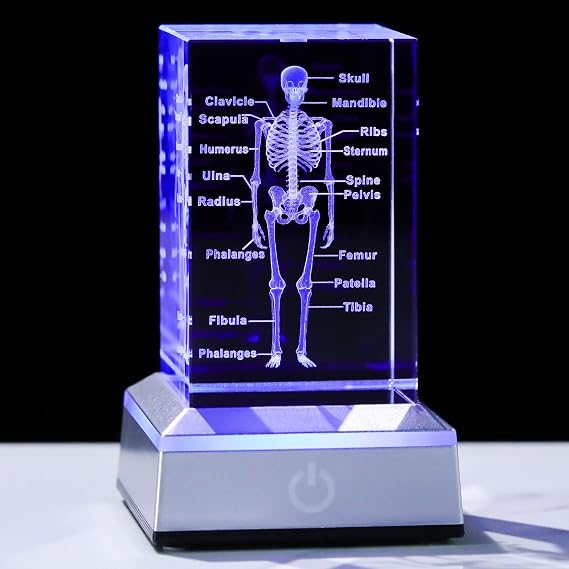 3D Crystal Human Skeleton Anatomy Model Medical Decor Gifts for Doctor, Laser Etched Science Biology Figurine Paperweight Psychology Graduation Gifts for Medical Students with LED Base