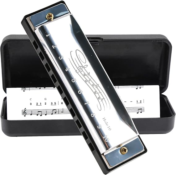 Blues Harmonica in C, Diatonic 10 Holes 20 Tones Mouth Organ Key of C Stainless Steel Mini Blues Harmonica for Kids Adults Beginners and Performers (Silver)