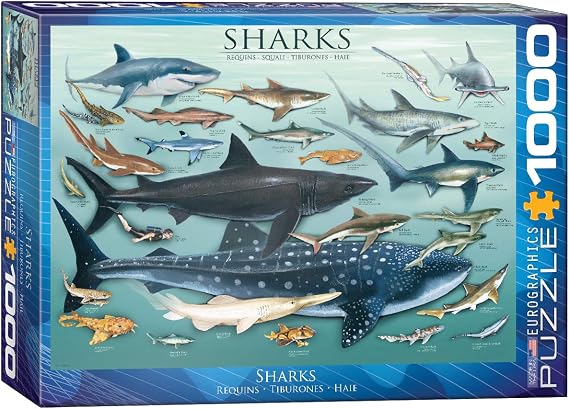 EuroGraphics Sharks 1000 Piece Puzzle , Blue