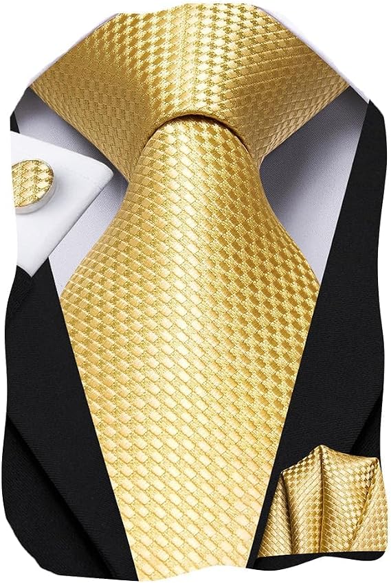 Dubulle Mens Paisley Floral Silk Tie for Men Striped Necktie and Pocket Square Cufflinks Set Wedding Business