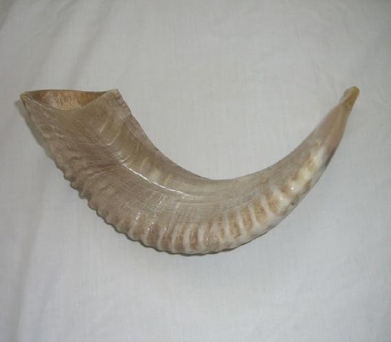 Small Classic Ram's Horn Shofar - Half Polished Finish Half natural New 12"-15"
