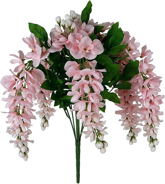 Ashland Pink Wisteria Bush