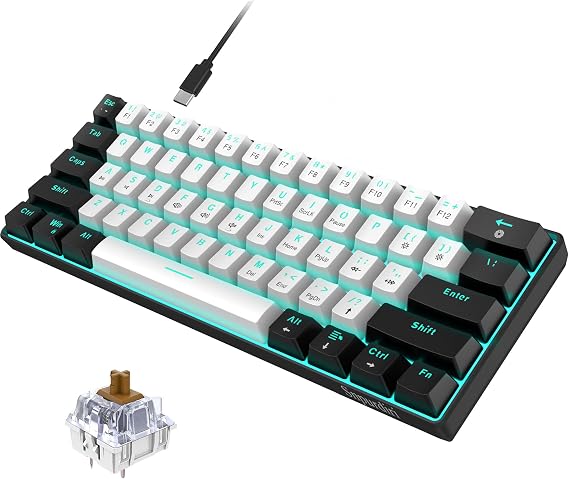 Snpurdiri 60% Wired Mechanical Gaming Keyboard 61 Anti-Ghosting Keys Blue LED Backlight Ultra-Compact Two Stands (Brown Switches/Black and White)