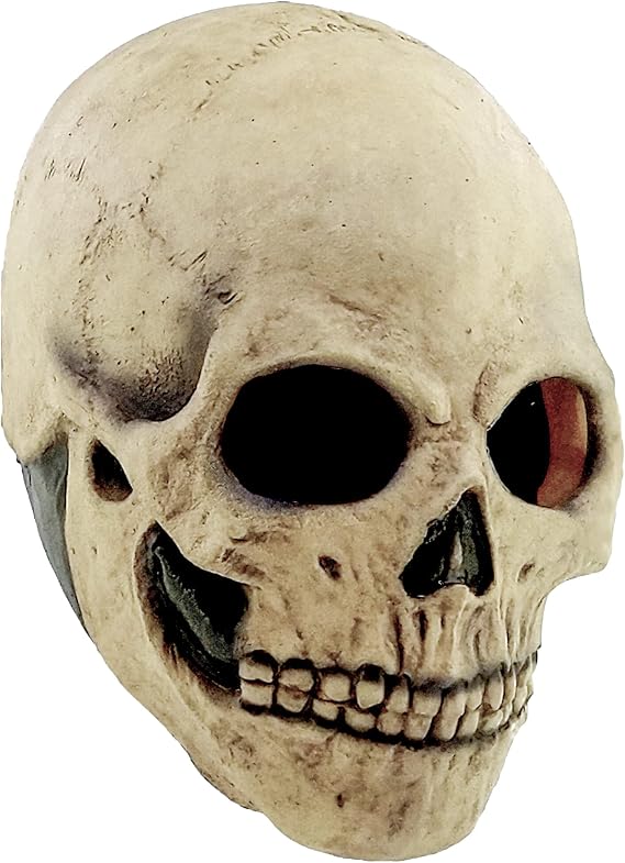 Ghoulish Productions Bone Skull Mask, Beige Skull Latex Mask. Beige Skull Classic Mask. Full Head Skull Mask. Skull Latex Mask Full Face. Skulls Line. Adult Mask. One Size Latex Mask