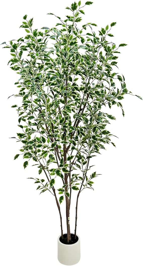 6ft Artificial Ficus Tree with White Plastic Planter