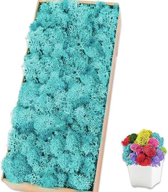 Preserved Reindeer Moss, 17.6 oz Blue Moss for Crafts