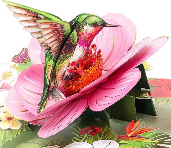 Birthday Card, Hummingbird Pop Up Card, Mothers Day 3D Greeting Card with Envelope for Her Women Mom Wife Grandma Daughter Sister
