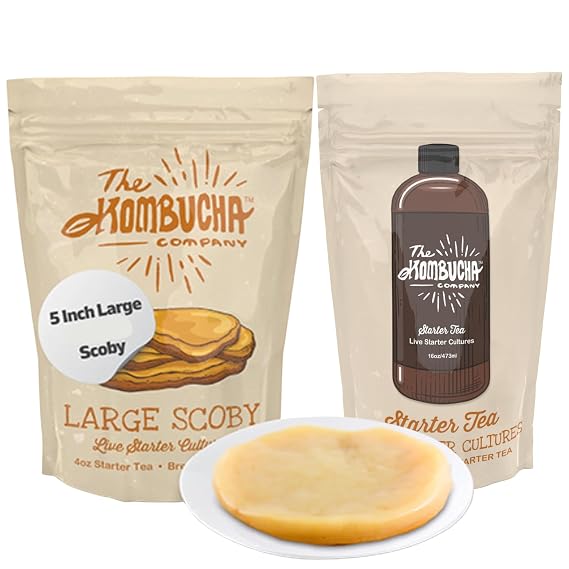 The Kombucha Company Large Kombucha Scoby | 16oz Bottle of Starter Tea & Brewing Guide l Makes One Gallon | Brew Kombucha from Home | Made From Purified Rainwater