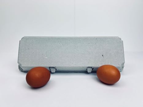 12 Count Egg Cartons - Non-Printed - Recycled Paper Pulp, Solid Top Style f
