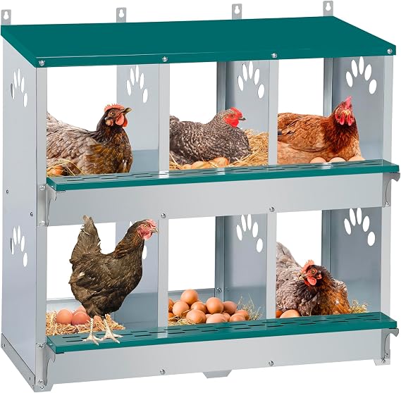 Chicken Nesting Box, 6 Compartment Metal Nesting Box