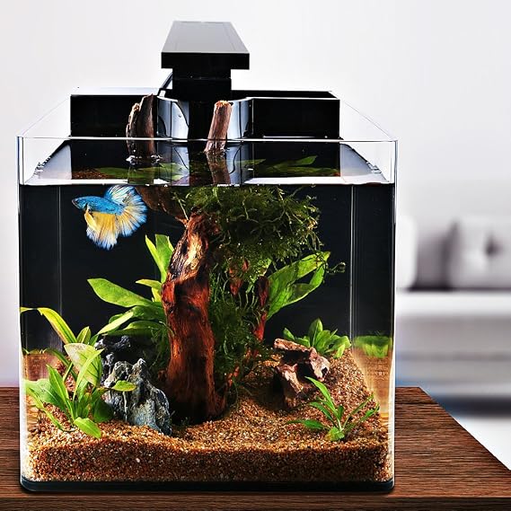 Betta Fish Tank Complete Aquarium Kit, All Acrylic 4-Gallon, with Betta Fish Accessories - LED Lighting, Air Pump, Sponge Filter and Heater, Decorative Fish Aquarium Tank for Home and Office