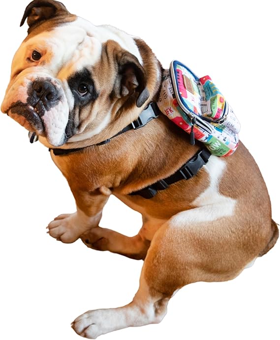 Köpek Sırt Çantası – 2’si 1 Arada Göğüs Tasması Fonksiyonlu, Su Geçirmez, Ayarlanabilir, Küçük & Büyük Irklar için,Travel, Çantalı Göğüs Tasmas, Small