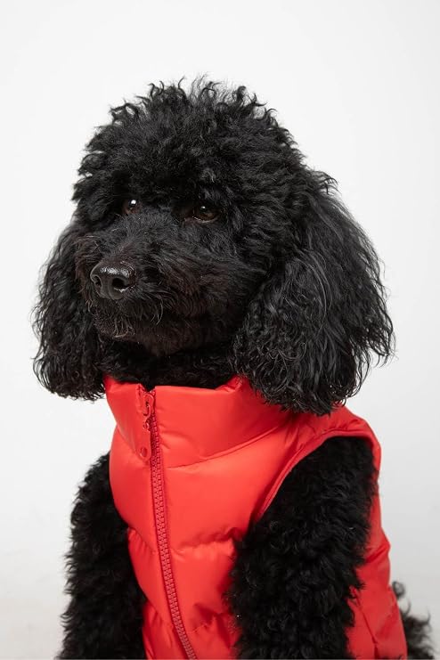 Köpek Kıyafeti, Puffer su geçirmez köpek montu, Küçük ve orta ırk köpek kıyafeti (Kırmızı, X-Large)
