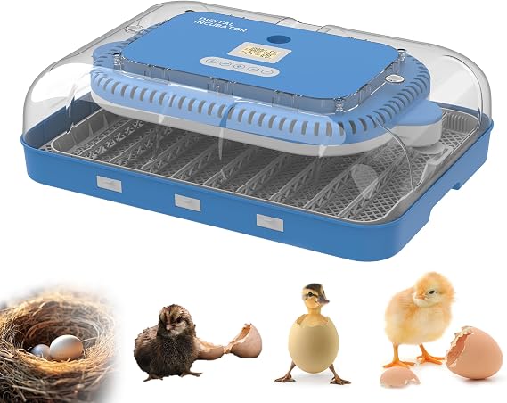 Egg Incubator for Hatching 70 Chicken, Duck, Quail & Goose Eggs Automatic Egg Turner, Humidity & Temperature Control, Built-in LED Candler, Auto Water Refill, 360 Clear View Digital Poultry Hatcher