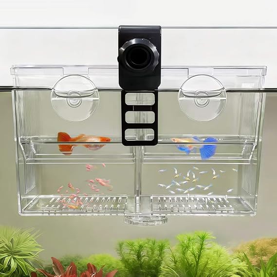Dual-Chamber Fish Breeder Box for Fish Tank, Guppy Fry Nursery
