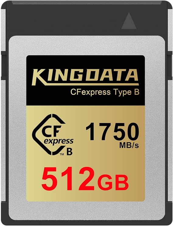 CFexpress Type B 512GB Memory Card, Up to 1750MB/s Read, RAW 8K Video and Photo, Memory Cards for Camera, Professional Photography