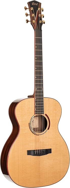Cort Masterpiece Series Abstract Delta A/E Guitar With Case