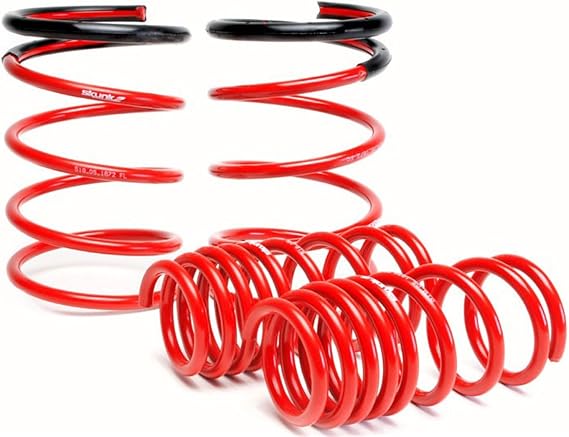 Skunk2 519-05-1672 Lowering Spring for Honda RSX