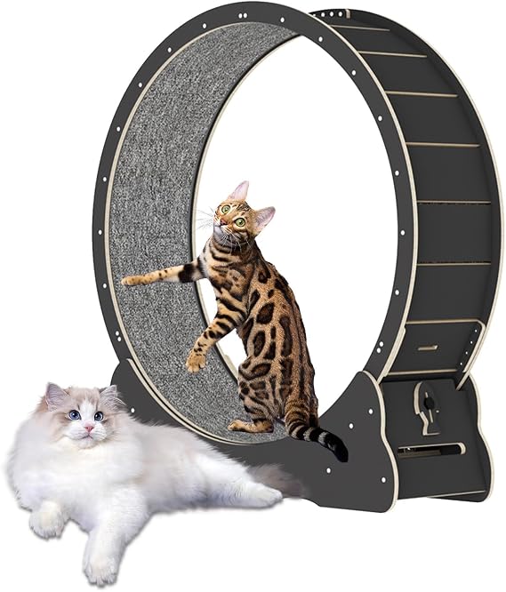 39.3" Large Cat Wheel Exerciser for Indoor Cats, Cat Exercise Running Wheel Treadmill with Lock & Minimized Gap Design, Ultra Low Noise and Detachable Carpet (Black, 39.3 inch)