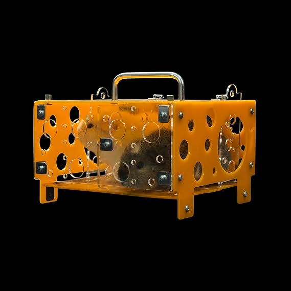 GuineaLoftTM Guinea Pig Cheese House (Double) V2 | The Ultimate Guinea Pig Hideout by Seasoned Owners Who Tried Everything Out There - Exclusive by GuineaLoft
