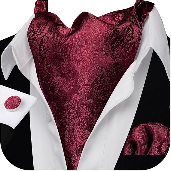 Barry.Wang Ascot for Men Cravat Tie Sets Paisley Scarf Self Tie Necktie