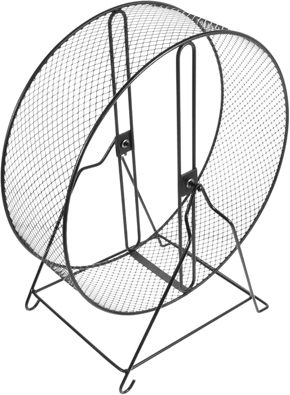 Interesting Hamster Running Wheel for Squirrel Hedgehog Exercise