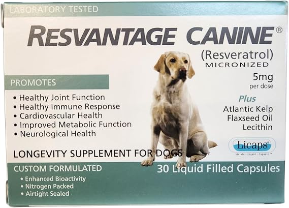 Overall Canine Health