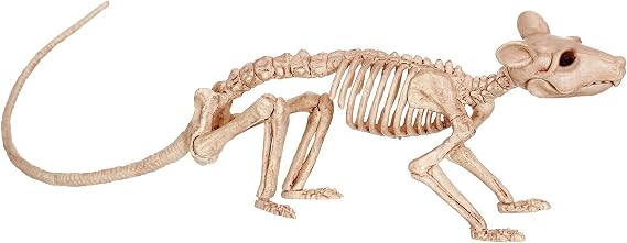 Crazy Bonez Skeleton - Rat Bonez