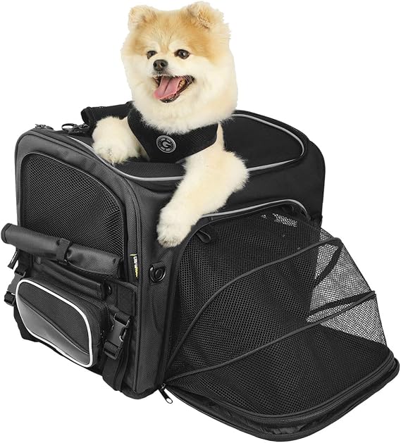 Nelson-Rigg Route 1 Rover Pet Carrier: Weather Resistant, Portable, and Secure Motorcycle pet Carrier/Crate; Fits Harley Davidson, Indian, Yamaha & Suzuki Motorcycles