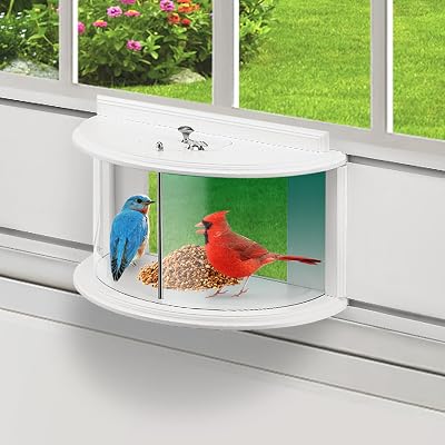 YORKING Window Bird Feeder, 180 Clear Bird Feeders for Window Viewing Inside, Squirrel Proof Wild Bird Feeders with Secure Lock, Extra Green Screen for Birds Stay Longer, Best Gift to Close Nature
