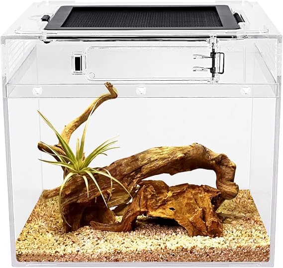 Reptile Growth Mini Sürüngen Teraryumu, 8 "x 8" x 8" Tam Görünüşlü Sürüngen Tankı Görsel Olarak Çekici, Böcek, Balık, Tarantula, Münzevi Yengeç, Atlama Örümcek, İguana, Kaplumbağa, Leopar Gecko,