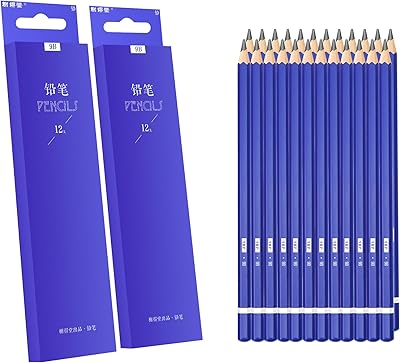 XDT#9B Drawing Pencils 24 Piece Set, Pro Art Graphite Sketching&Shading Supplies, Ideal For Kid Beginner Student Adults Artist