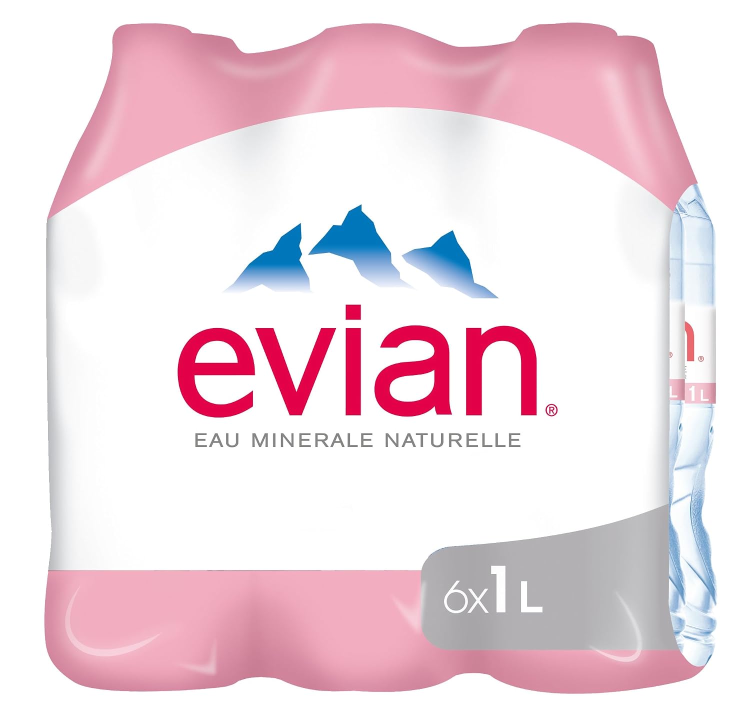 evian 1.0 l pack of 6