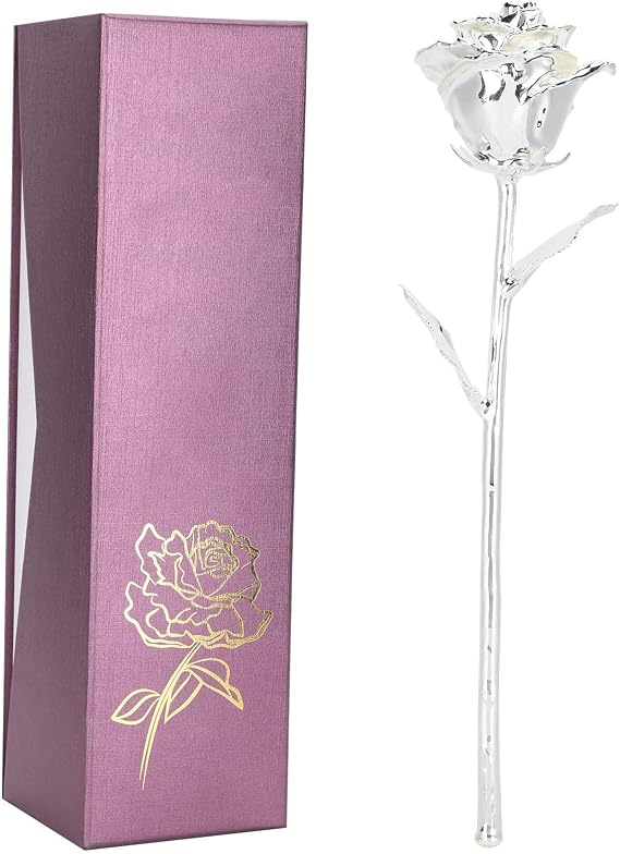 Gold Dipped Rose, 24K Real Artificial Flower Rose, Preserved Forever Long Stem Rose with Leaf, for Anniversary, Mothers and Valentines Day (Silver)