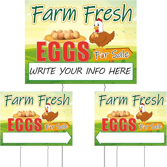 Sintuff 3 Pcs Farm Fresh Eggs for Sale Sign Double Sided Rustic