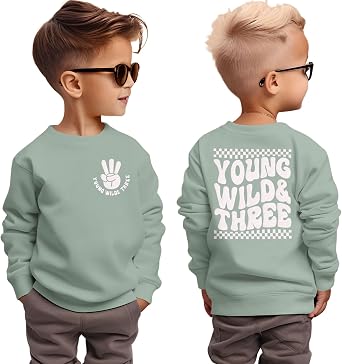 BOUTIKOME Young Wild and Three Birthday Boy Sweatshirt 3 Year Old Boy Pullover Third B-Day Party Shirt Fall Long Sleeve Tops